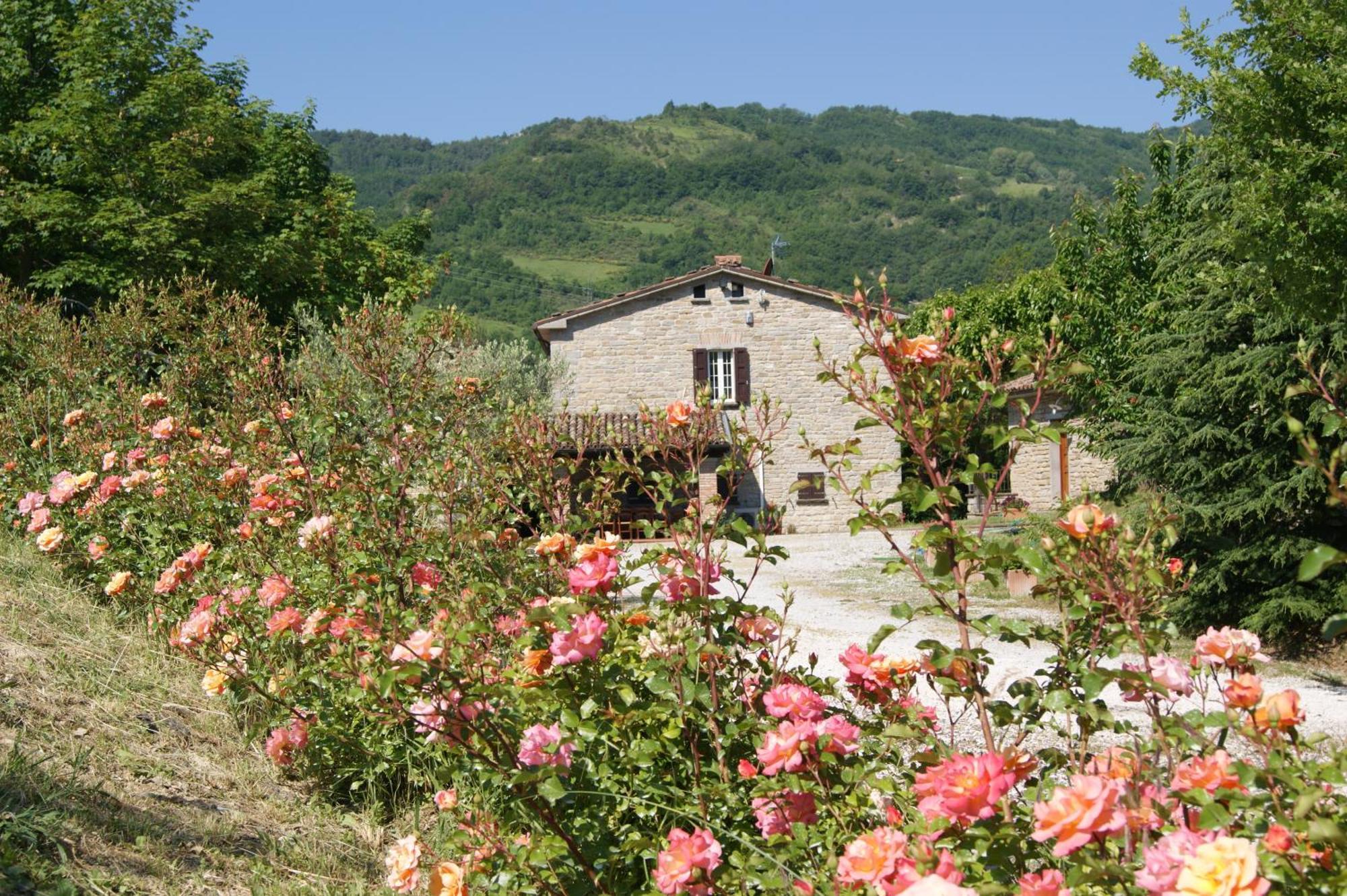 Agriturismo Corte Dei Mori Brisighella Extérieur photo